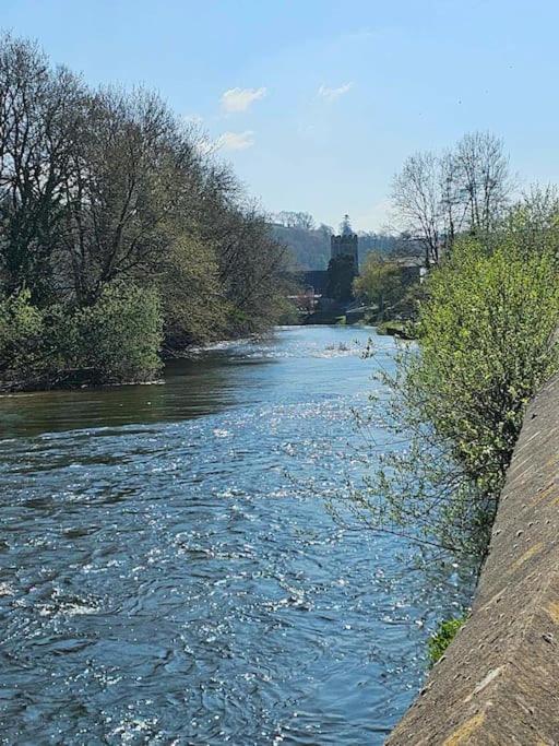 Riverside Retreat Llandysul Exteriör bild